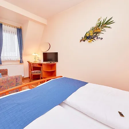 Otel Burkard 3*